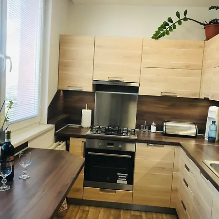 Apartman Novy V Ostrave U Misky S Akvariem A Vyhledem Z Balkonu Na Beskydy *