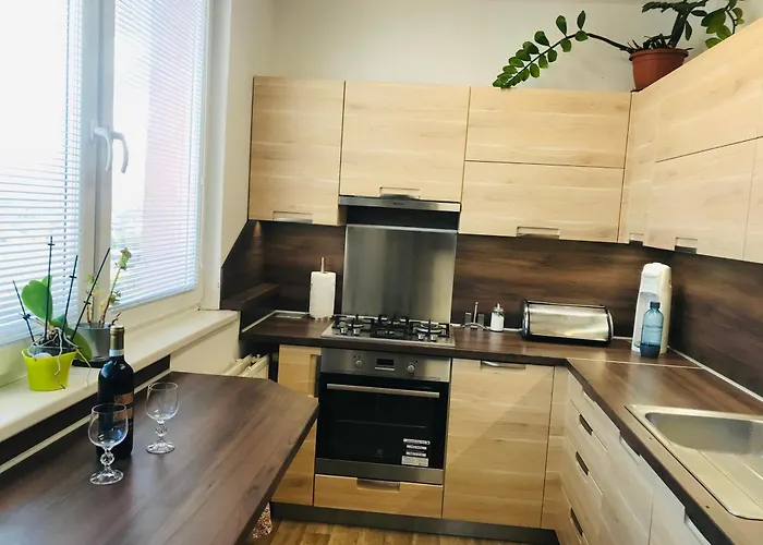 Apartman Novy V Ostrave U Misky S Akvariem A Vyhledem Z Balkonu Na Beskydy *