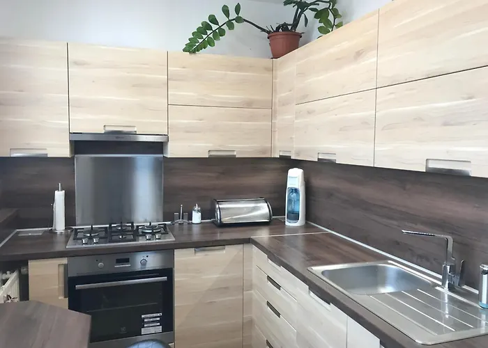 Novy V Ostrave U Misky S Akvariem A Vyhledem Z Balkonu Na Beskydy Ostrava